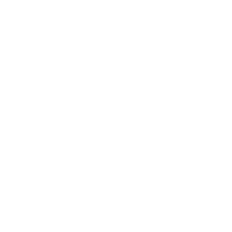IT Strategy Consulting